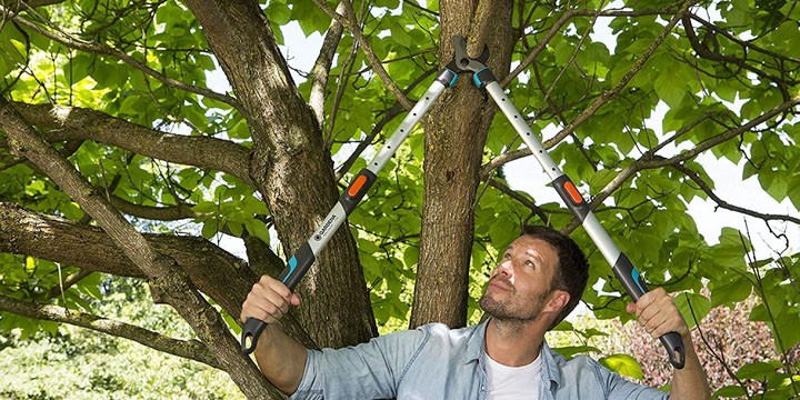 meilleur coupe branche telescopique