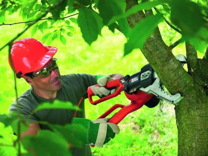 meilleur coupe branche telescopique