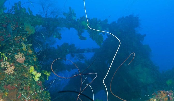 espace plongée martinique