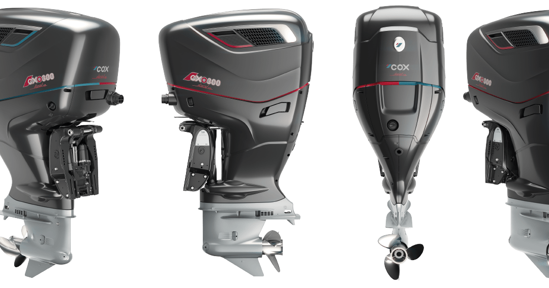 moteur hors bord diesel