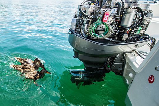 moteur hors bord diesel