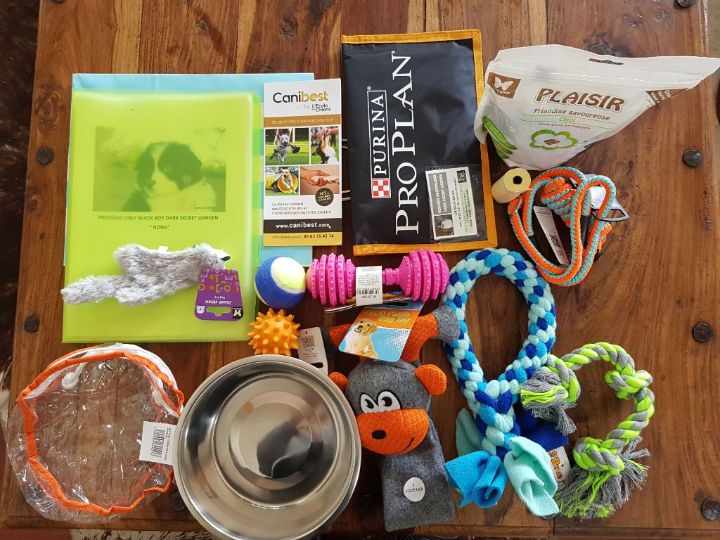 Comparaison Côte À Côte Des Meilleur Kit Chiot Gratuit 4 Meilleur Kit Chiot Gratuit