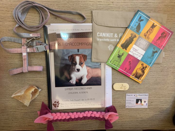 Comparaison Côte À Côte Des Meilleur Kit Chiot Gratuit 5 Meilleur Kit Chiot Gratuit