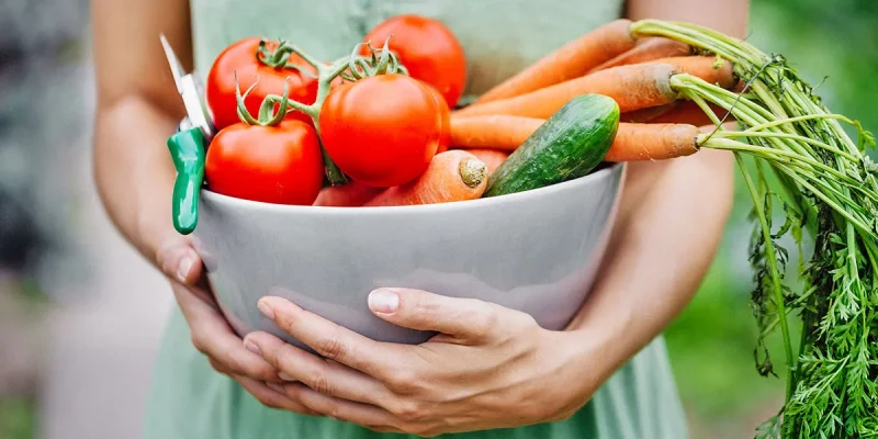 Regulatpro Bio Danger