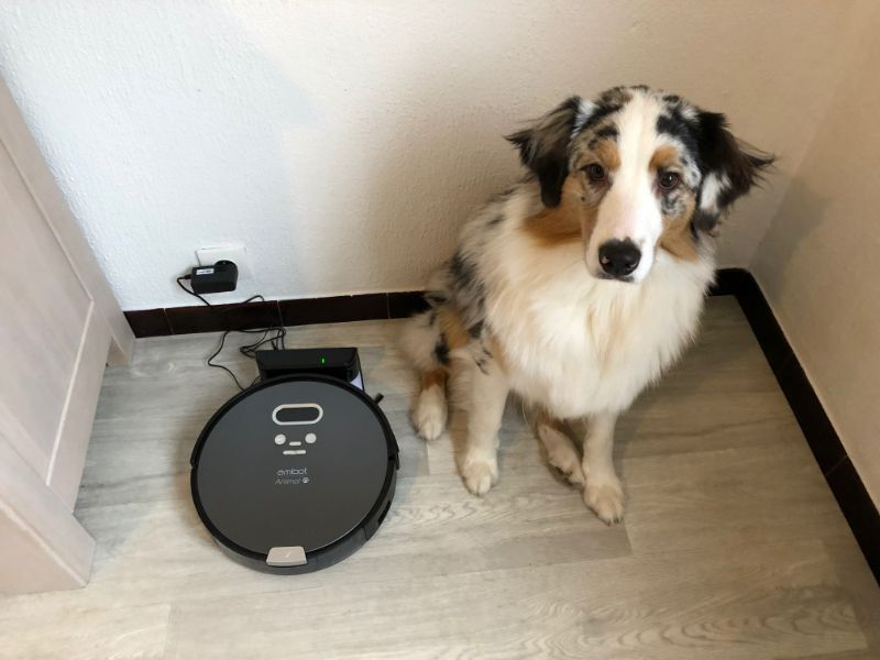 Découvrez Le Meilleur Aspirateur Robot Pour Poils D'animaux : Comparatif Et Avis 15 meilleur aspirateur robot pour poils d'animaux