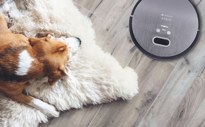 Découvrez Le Meilleur Aspirateur Robot Pour Poils D'animaux : Comparatif Et Avis 14 meilleur aspirateur robot pour poils d'animaux