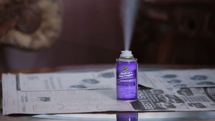 meilleur fumigene anti puce