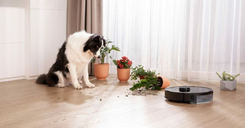 Découvrez Le Meilleur Aspirateur Robot Pour Poils D'animaux : Comparatif Et Avis 16 meilleur aspirateur robot pour poils d'animaux