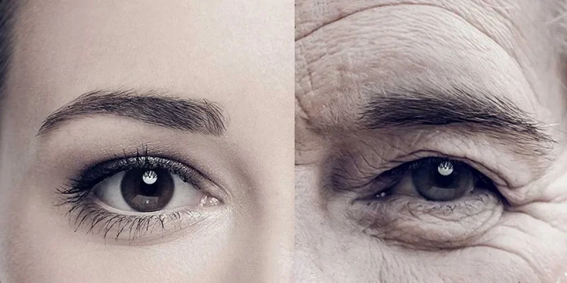 Premium Collagen Complex