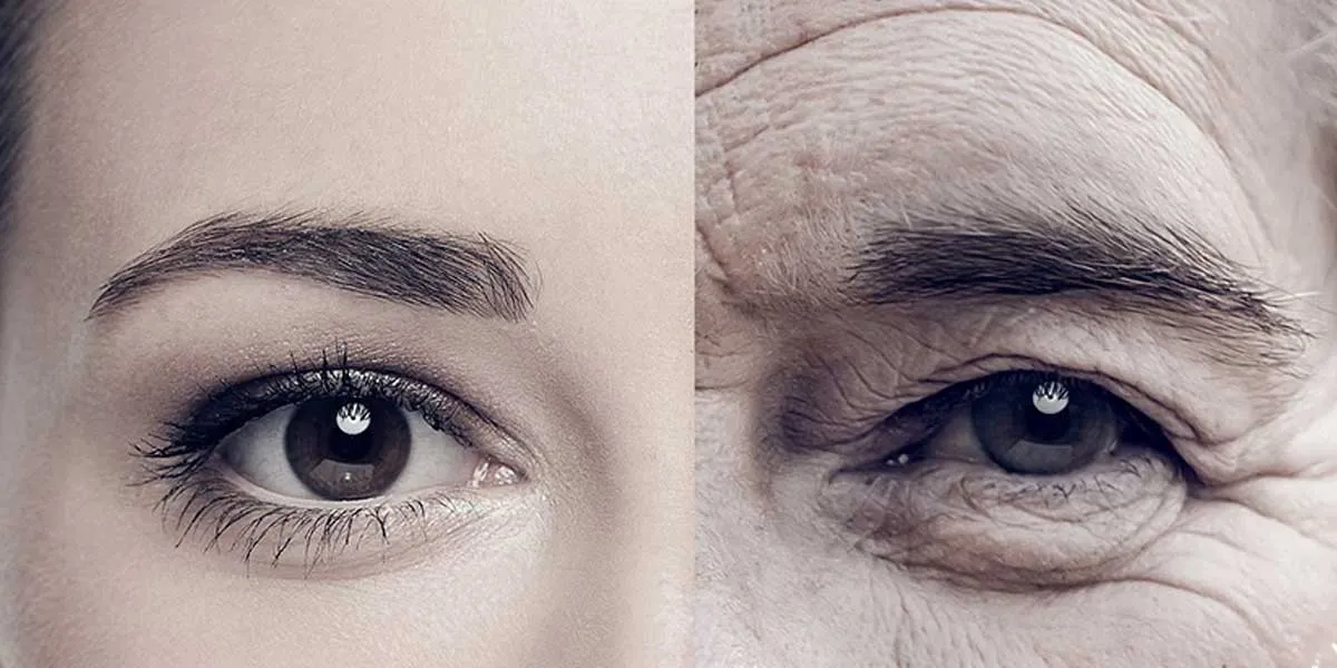 Meilleur Premium Collagen Complex - La Nouvelle Tendance Anti-âge 1 Premium Collagen Complex