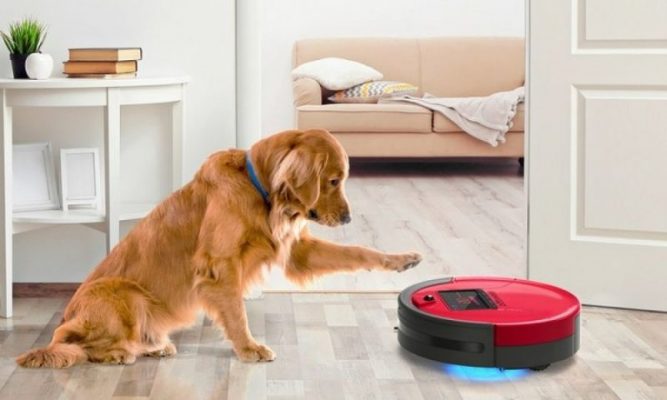 meilleur aspirateur robot pour poils d'animaux