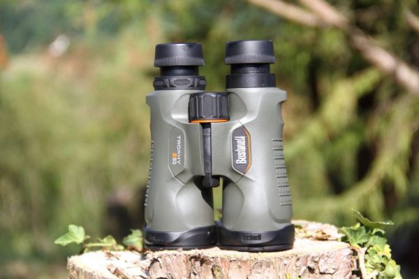 Jumelles Bushnell 10X50