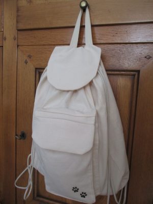 Home - Festival Des Lanternes 16 154942 1