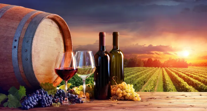 Les 15 Meilleurs Cubi Vin Rouge À Boire