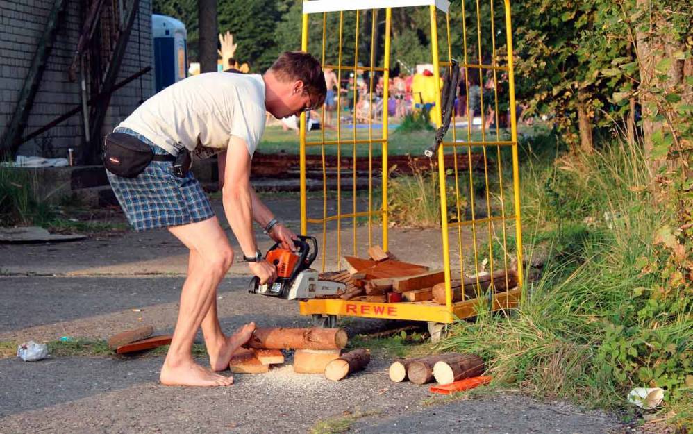 Elagueuse Sur Batterie Lidl