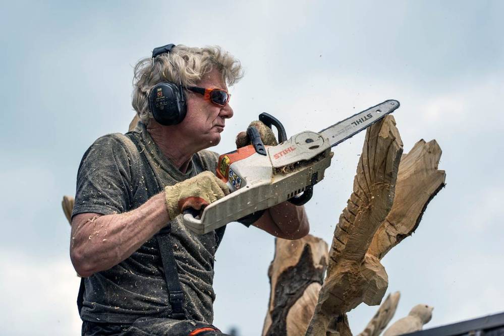 Elagueuse Sur Batterie Lidl