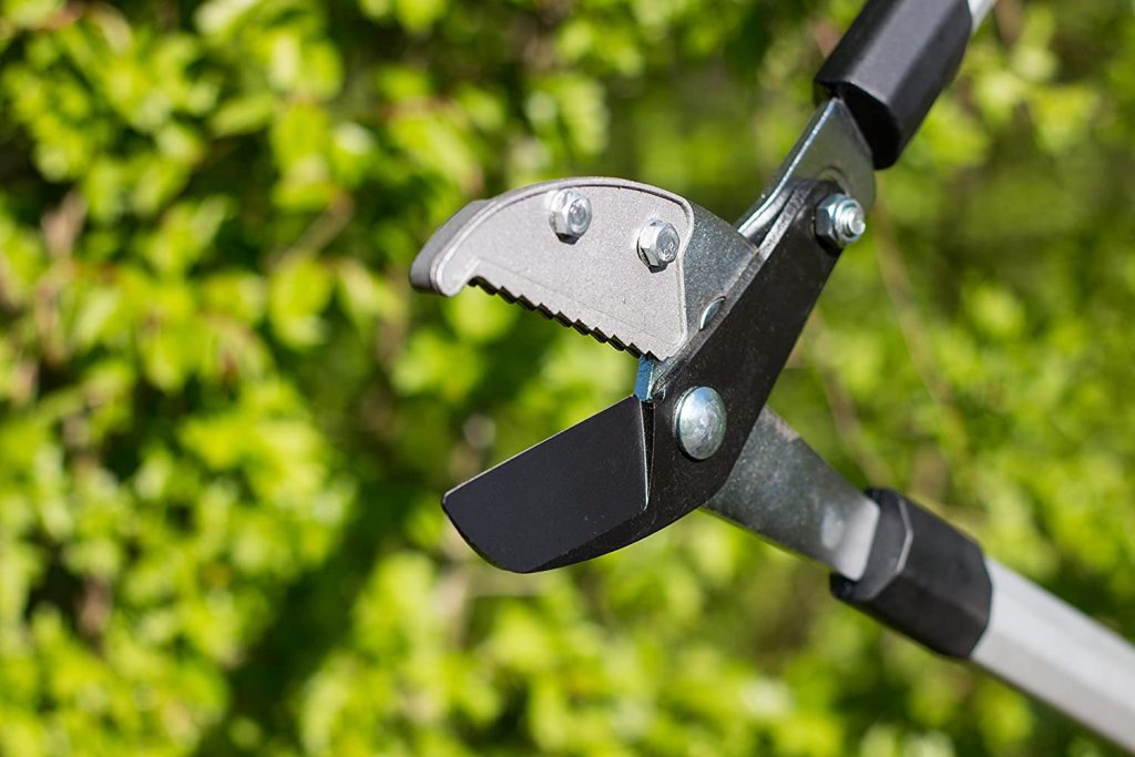 Coupe Branche Télescopique Lidl