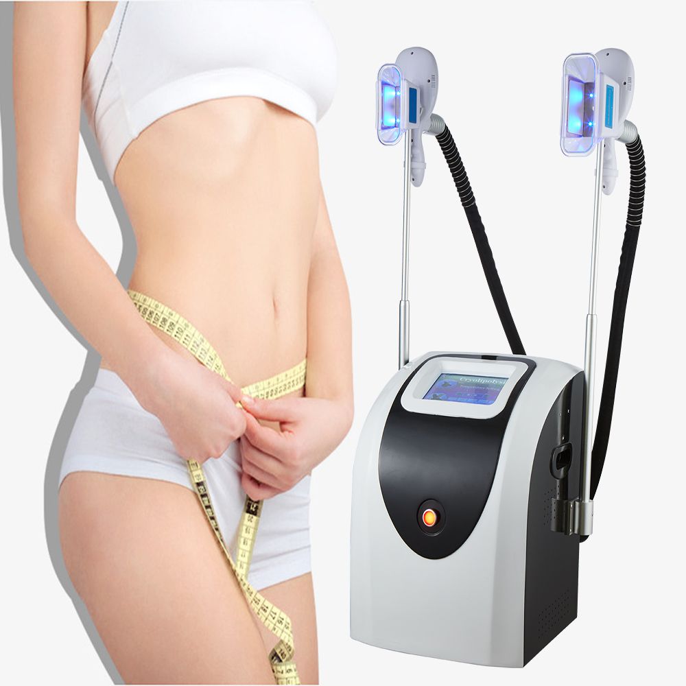 Appareil De Cryolipolyse