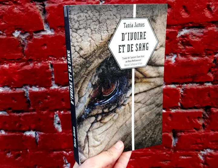 le bel aujourd hui tréguier