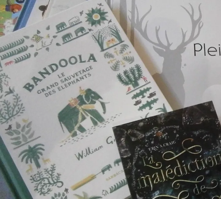 le bel aujourd hui tréguier