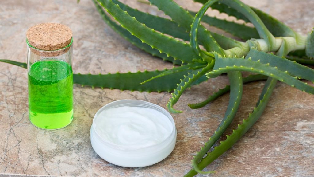 Top 10 Meilleur Creme Visage Aloe Vera Test Et Comparatif 12 Creme Visage Aloe Vera
