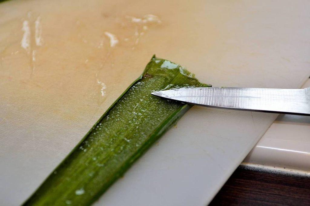 Top 10 Meilleur Creme Visage Aloe Vera Test Et Comparatif 11 Creme Visage Aloe Vera