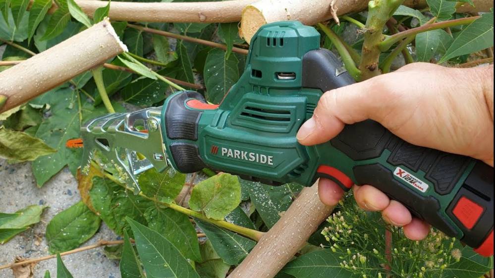 Elagueuse Sur Batterie Lidl