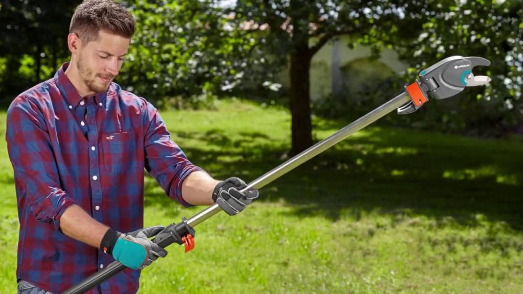 Coupe Branche Télescopique Lidl